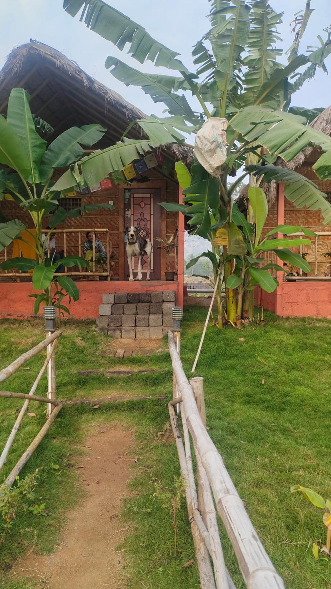 Waterfall Guesthouse Hampi Dış mekan fotoğraf